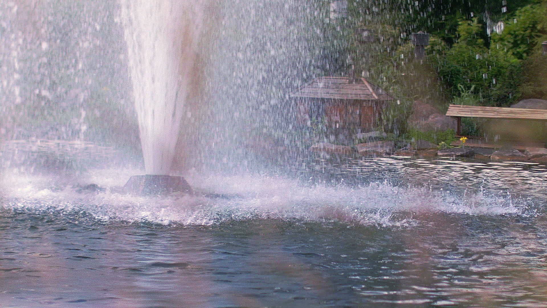 池塘里的喷泉空间视频的预览图