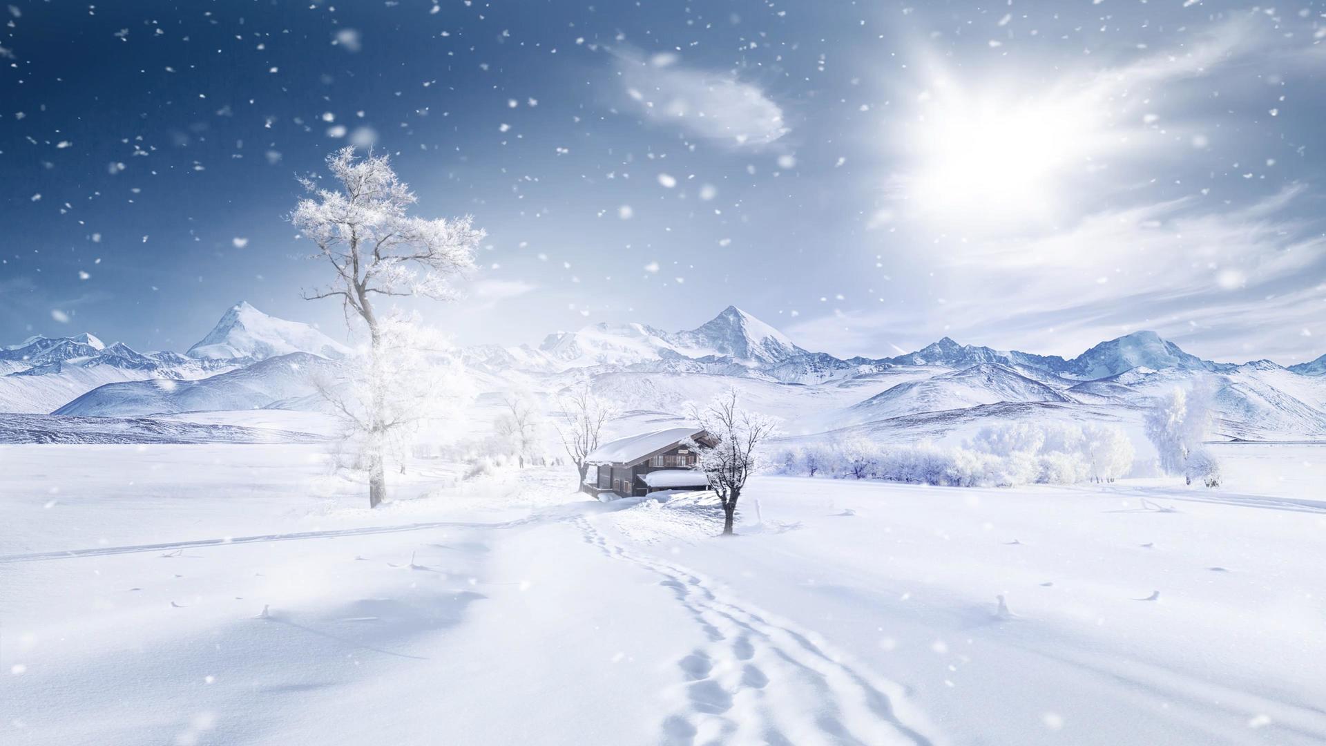 冬天下雪雪花背景视频的预览图