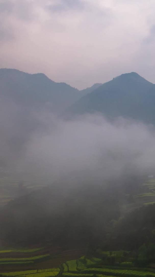 山中云雾缭绕视频的预览图