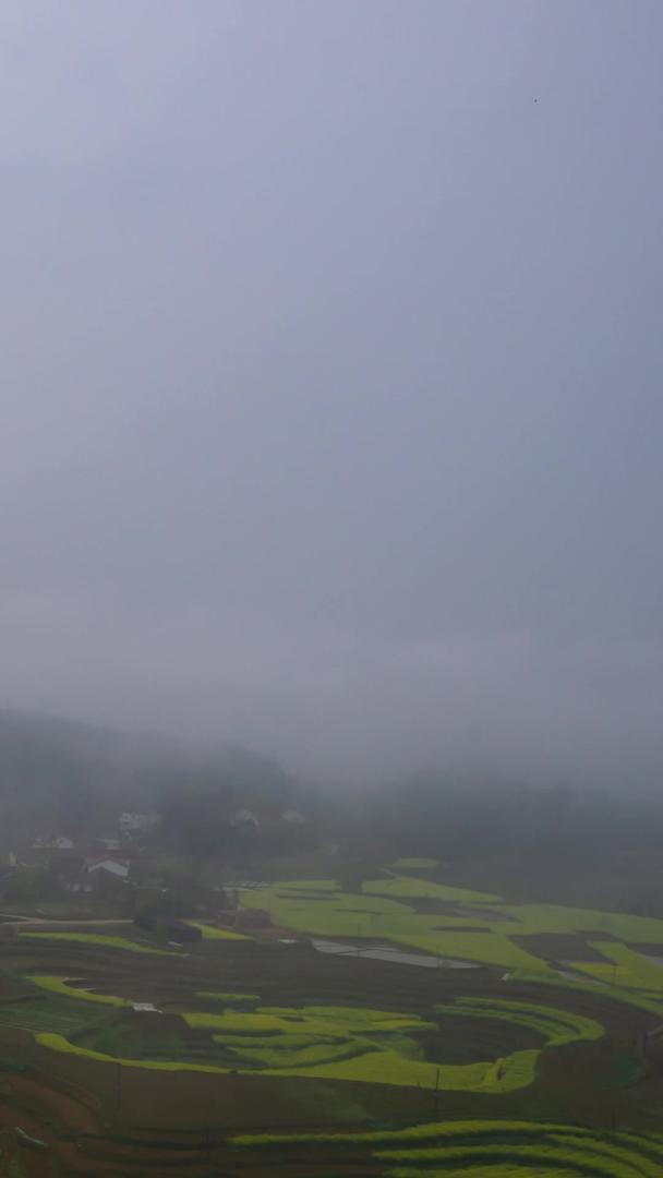 山中云雾缭绕视频的预览图