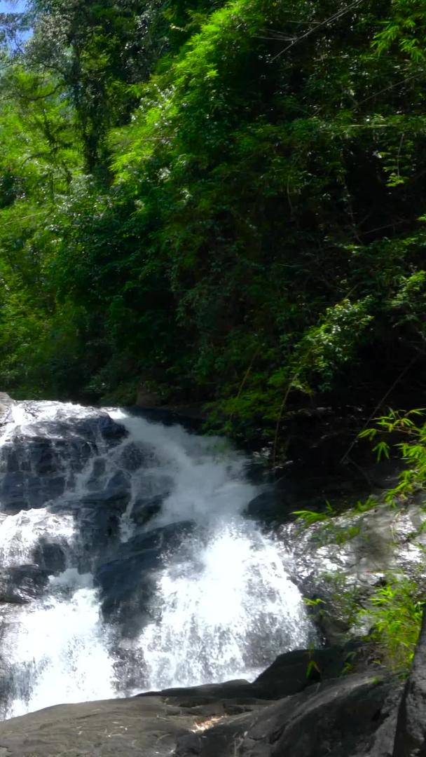 山林自然瀑布岩石收集瀑布水声视频的预览图