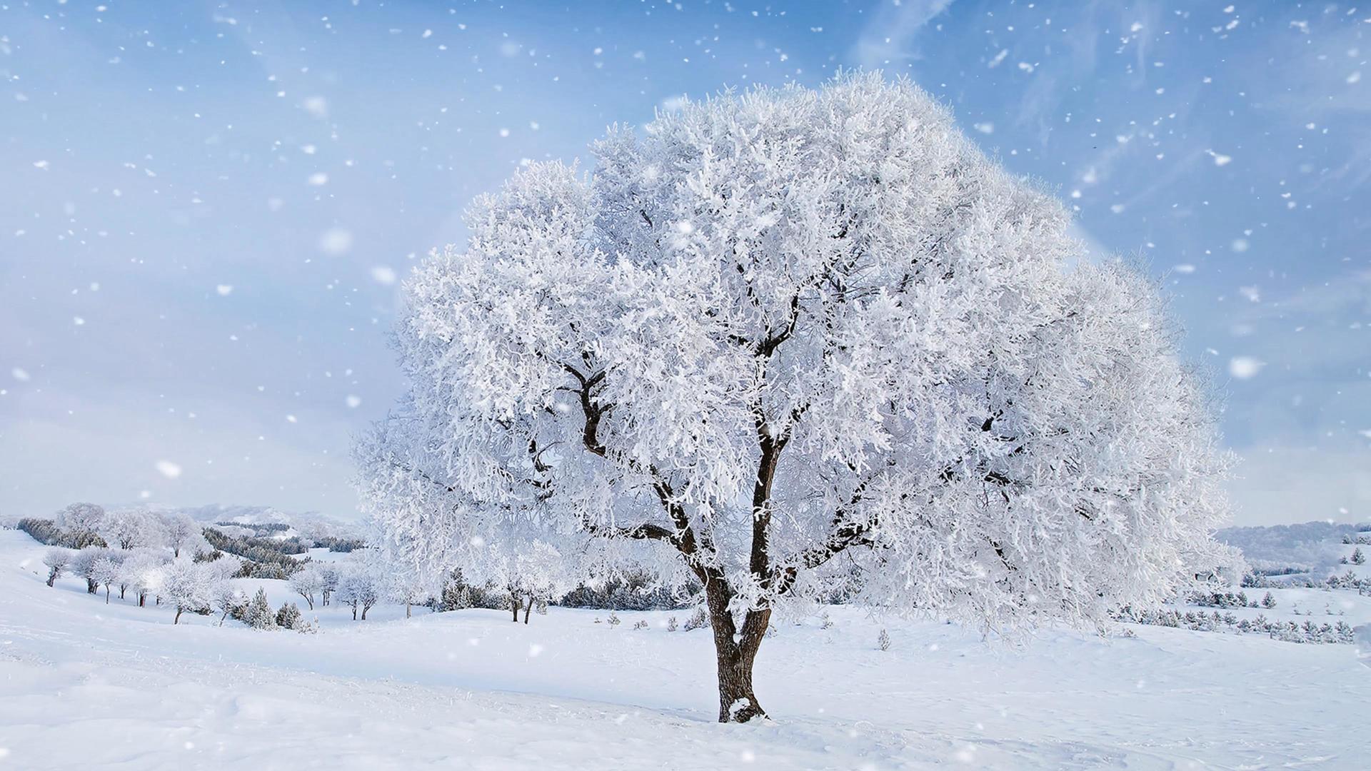 冬季雪景视频素材视频的预览图
