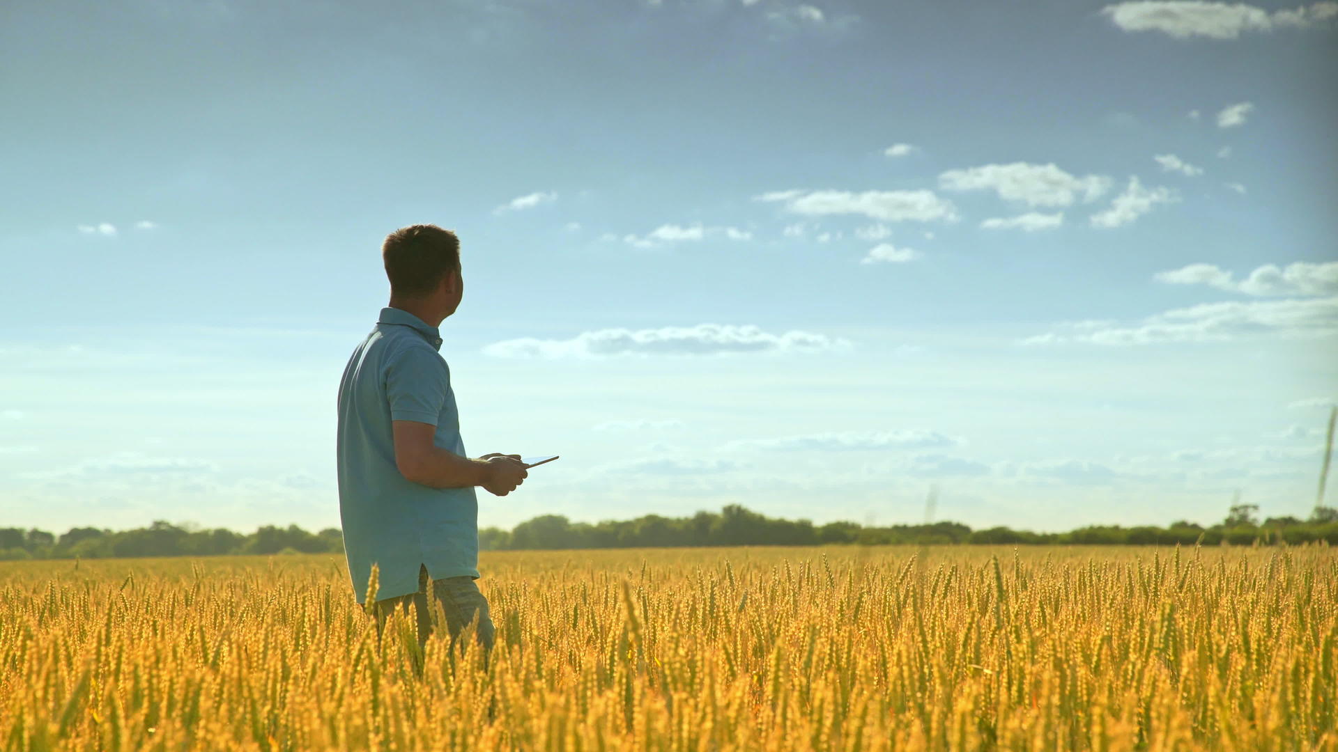 农民站在麦田里视频的预览图