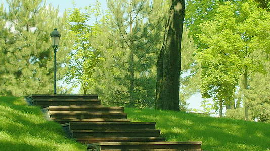 绿色森林木质台阶视频的预览图