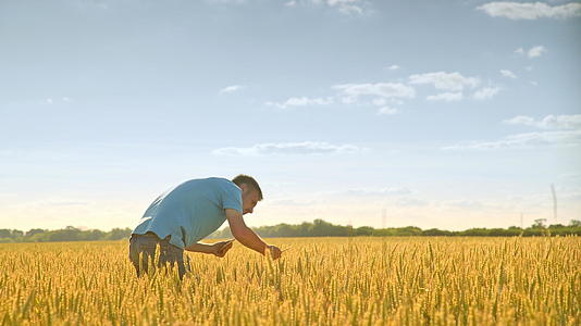 研究小麦的科学家视频的预览图