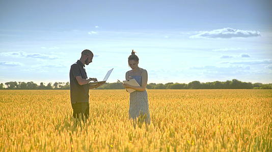 男性和女性在稻田中交换测试内容视频的预览图