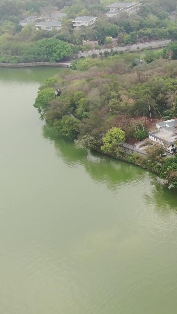 惠州西湖泗州塔航拍视频的预览图