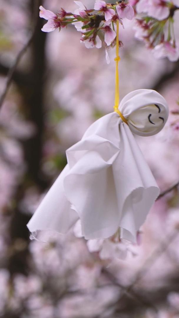 春季樱花盛开的樱花和晴天娃娃素材视频的预览图