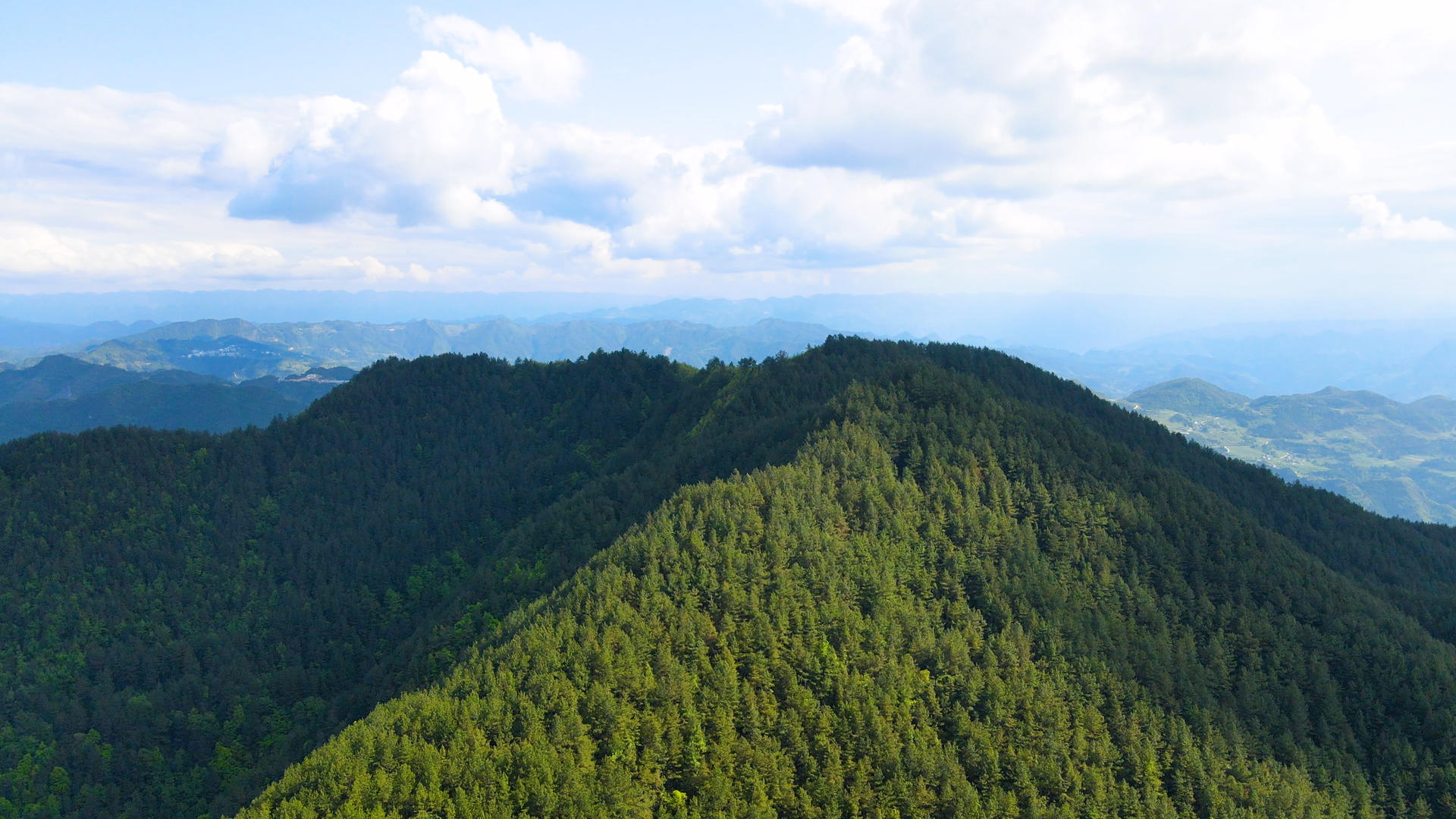 4K航拍蓝天白云下的金山银山绿色生态大自然视频的预览图
