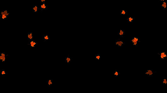 枫叶飘落元素带透明度通道视频的预览图