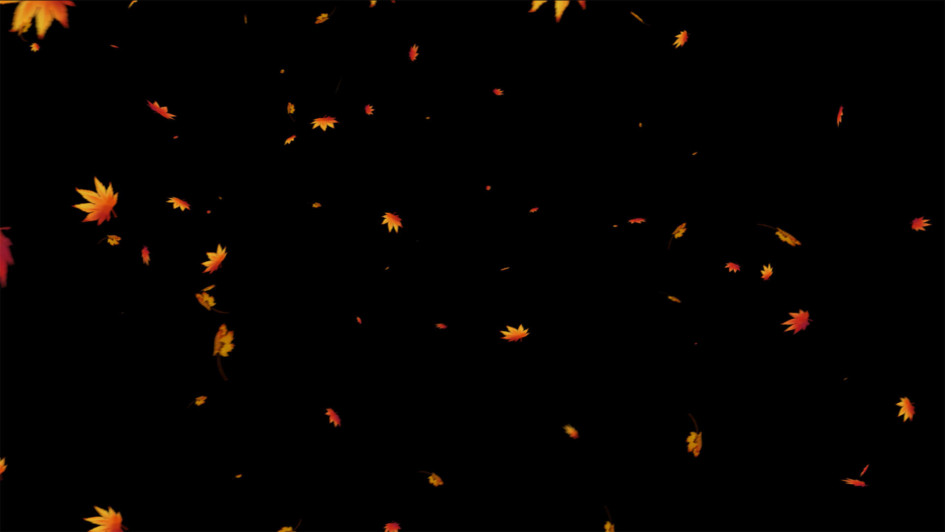4K枫叶飘落动画元素带通道视频的预览图