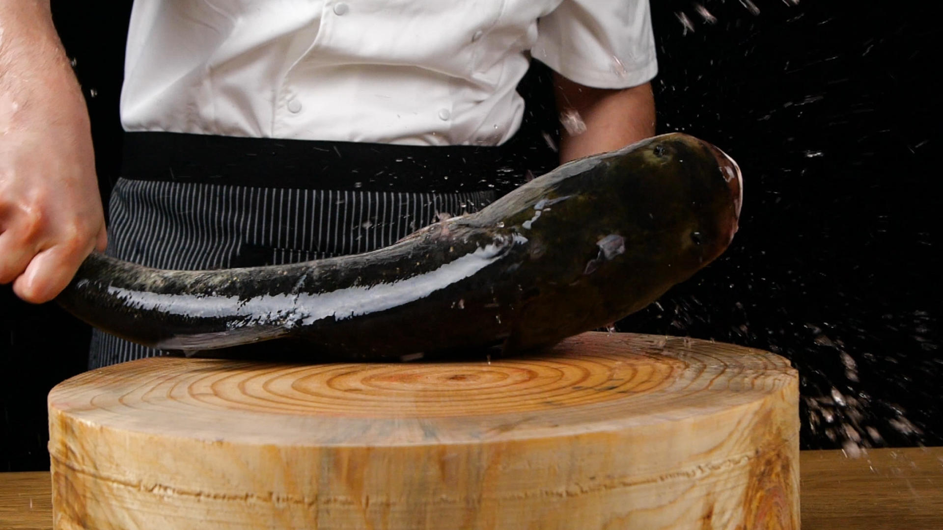 升格活鱼杀鱼胖头鱼白鲢生鲜食材处理食材视频的预览图