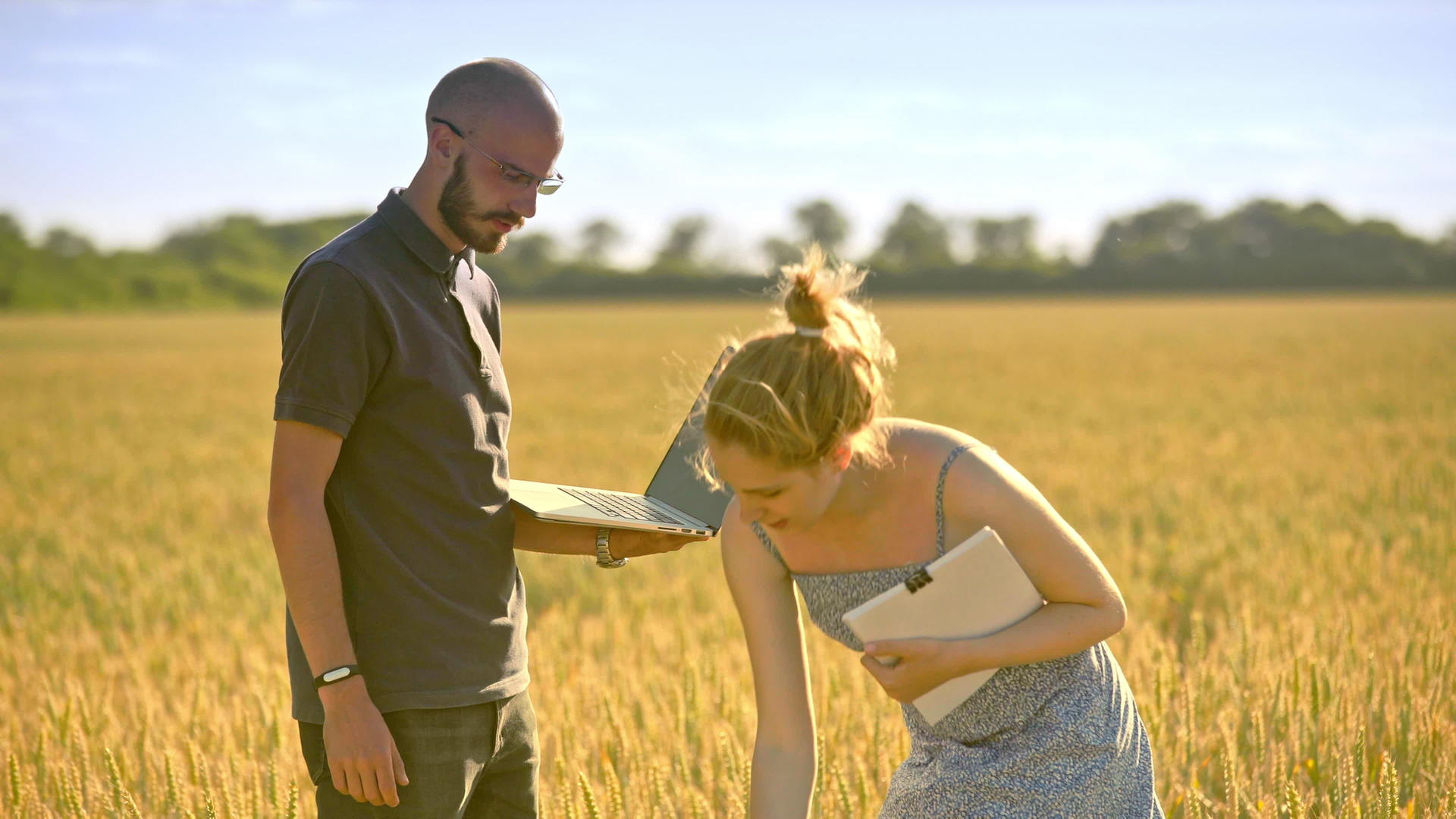 在小麦稻田里男人和女人用笔记本聊天视频的预览图