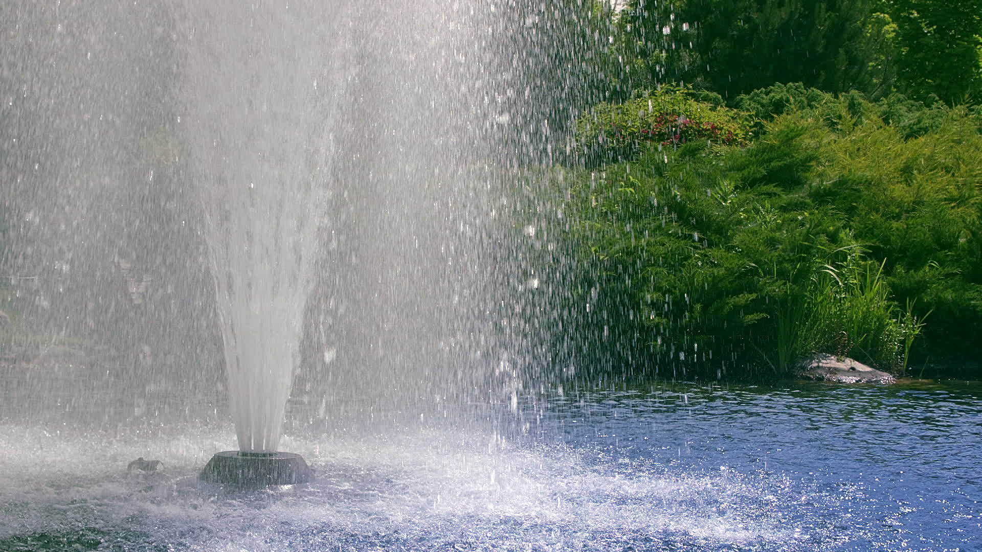 公园喷水池特写视频的预览图