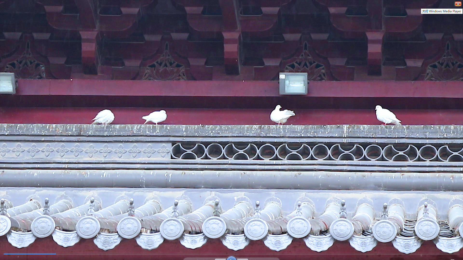 4K寺院和平鸽视频的预览图