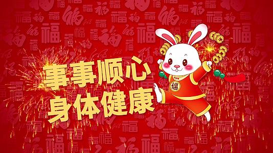 兔年春节文字闪闪2023新年新年视频视频的预览图