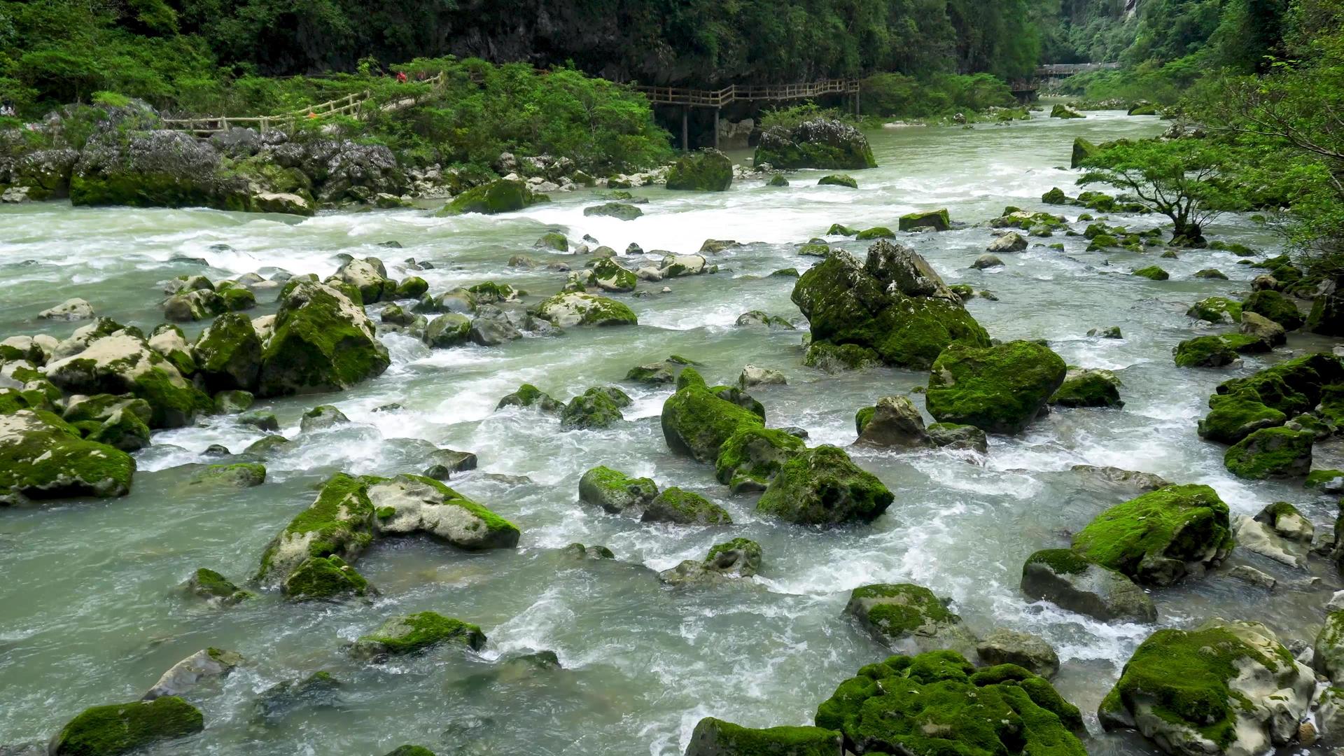 山间石澜流水河流视频的预览图