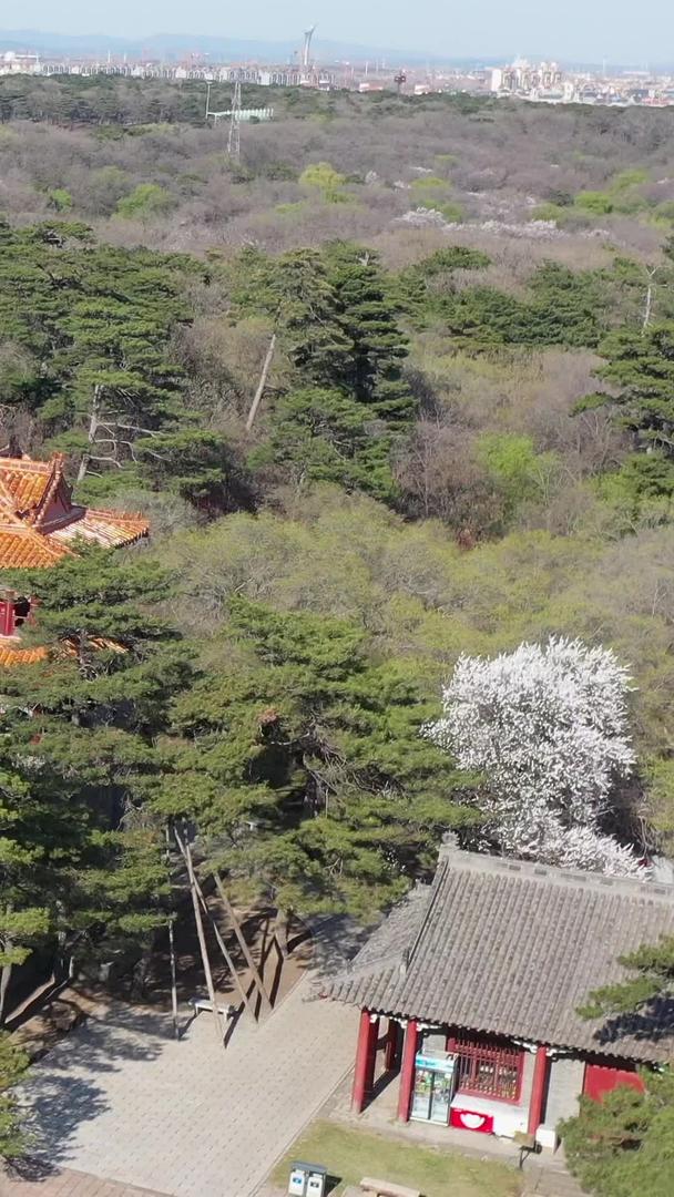 沈阳清福陵世界文化遗产视频的预览图