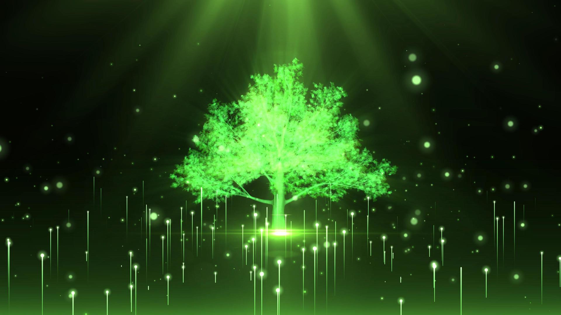 绿色树粒子上升光效4K背景视频视频的预览图