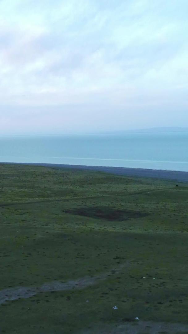 青海湖边的草地航拍视频的预览图