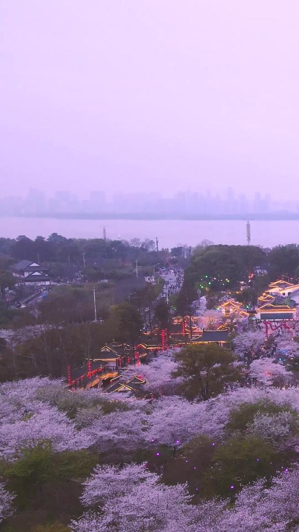 春季航拍旅游城市樱花季风景素材视频的预览图