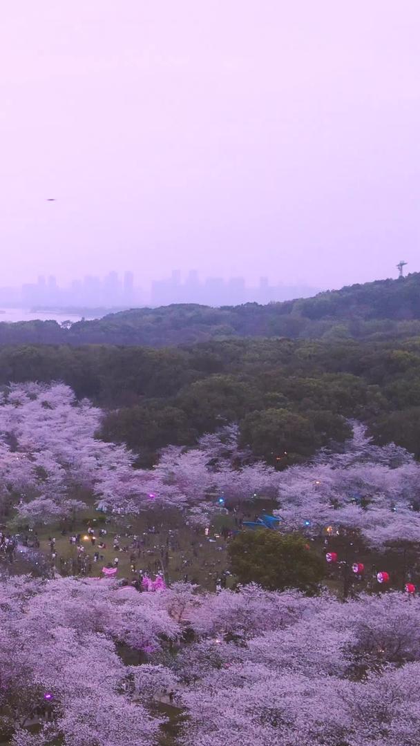 春季航拍旅游城市樱花季风景素材视频的预览图
