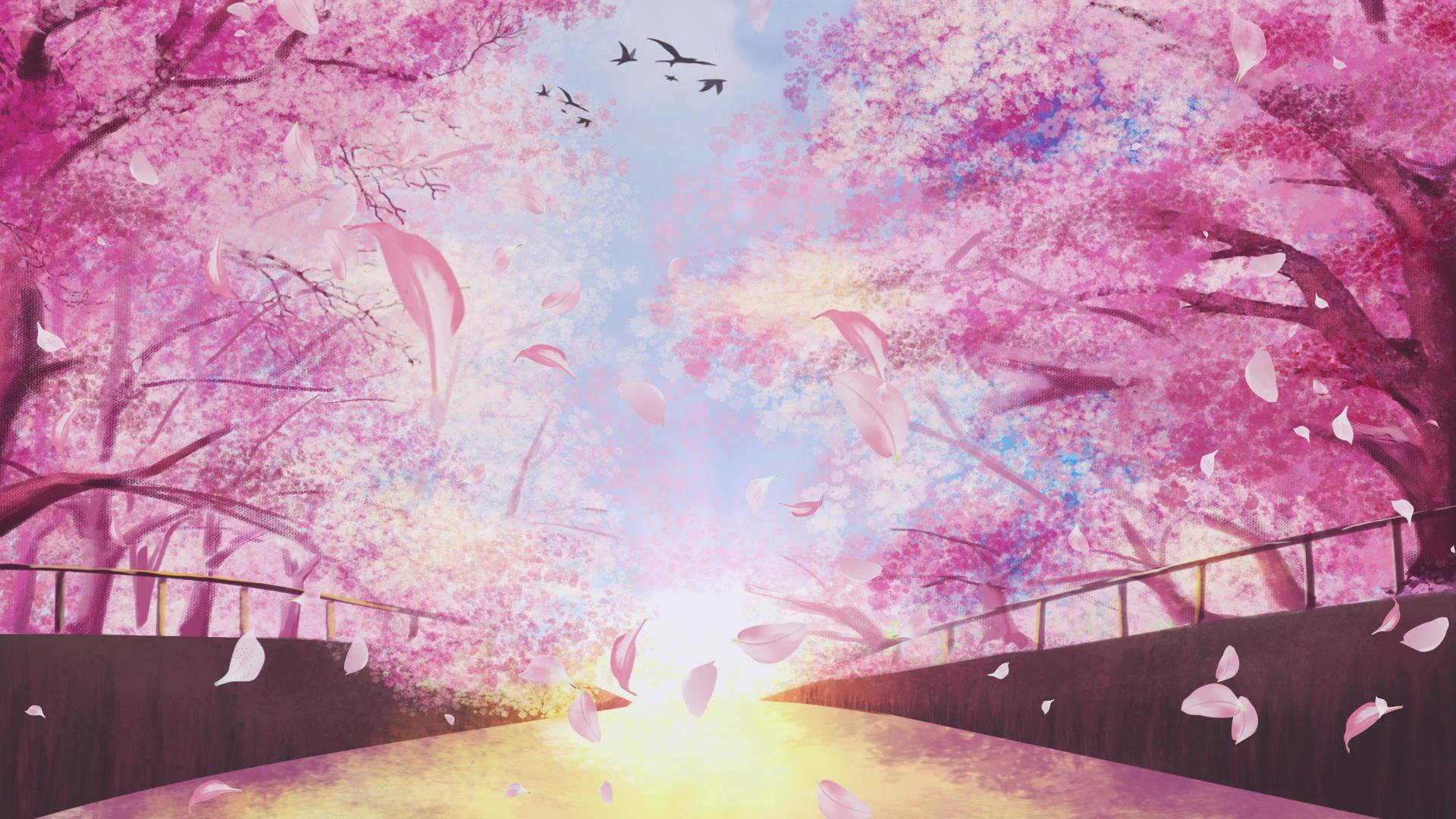 粉色动态樱花林樱花飘落4K背景视频视频的预览图