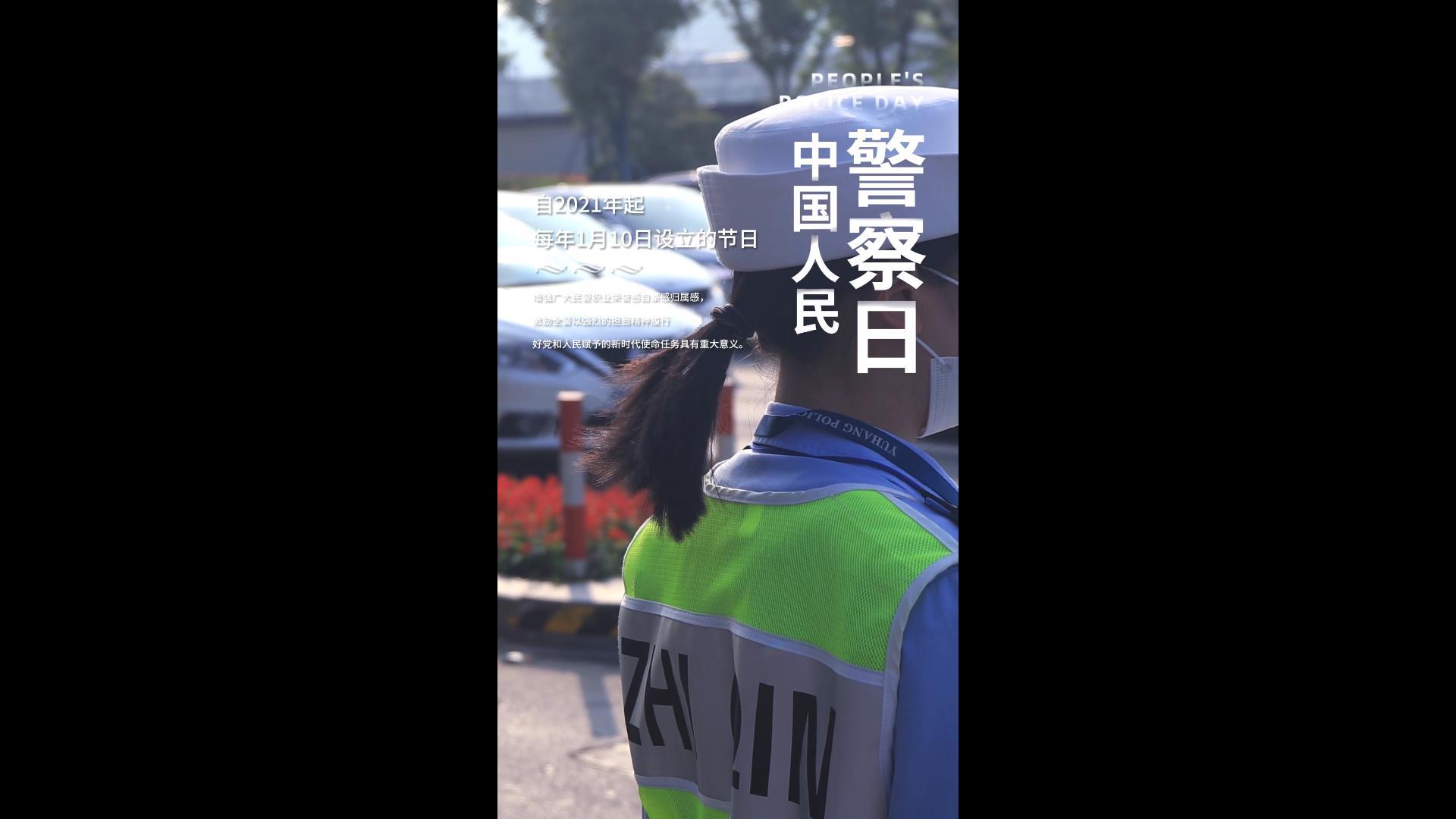 简洁大气的人民警察节竖版海报AE模板视频的预览图