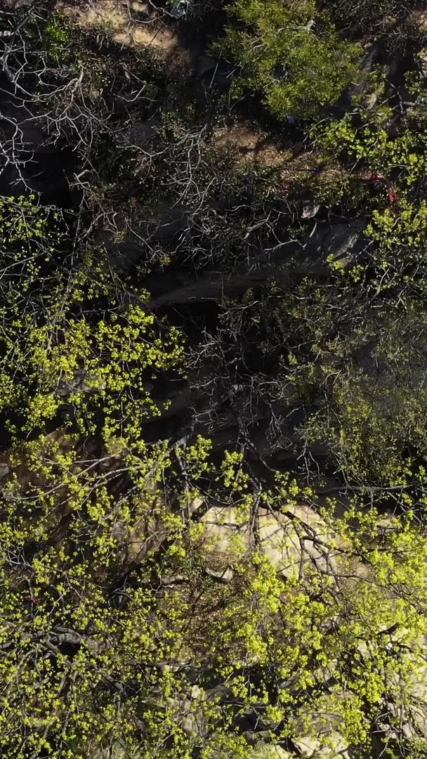 著名的5A景区花果山水帘洞瀑布航拍视频视频的预览图