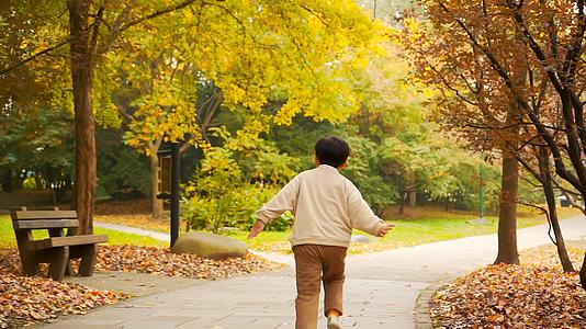 秋天公园步行道上奔跑的小男孩背影升格视频视频的预览图