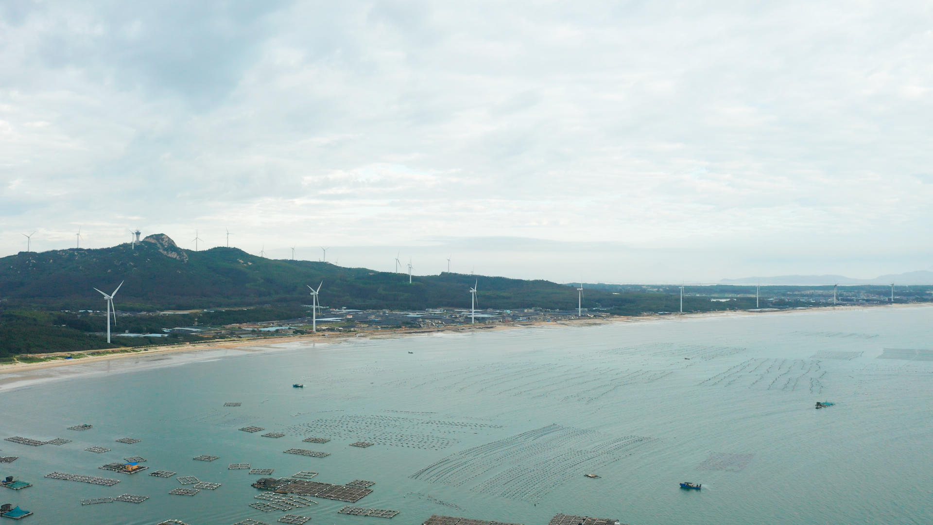 航拍海岸线的风车视频的预览图