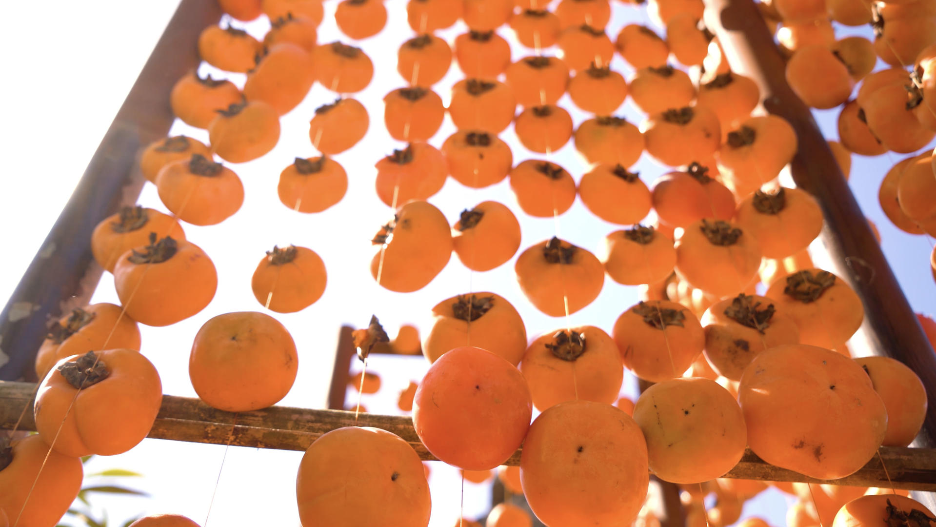 挂起来晾晒柿饼的柿子视频的预览图