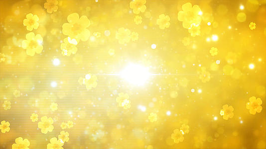 金色花朵舞台背景视频的预览图