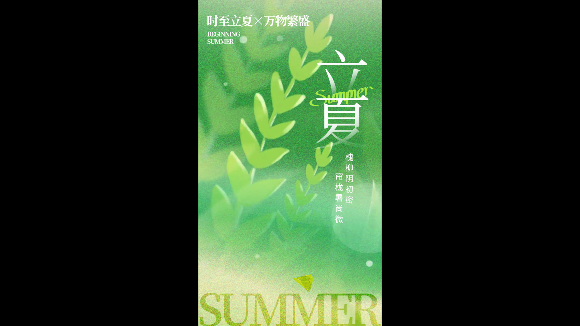 清新绿色夏日立夏竖版视频海报视频的预览图