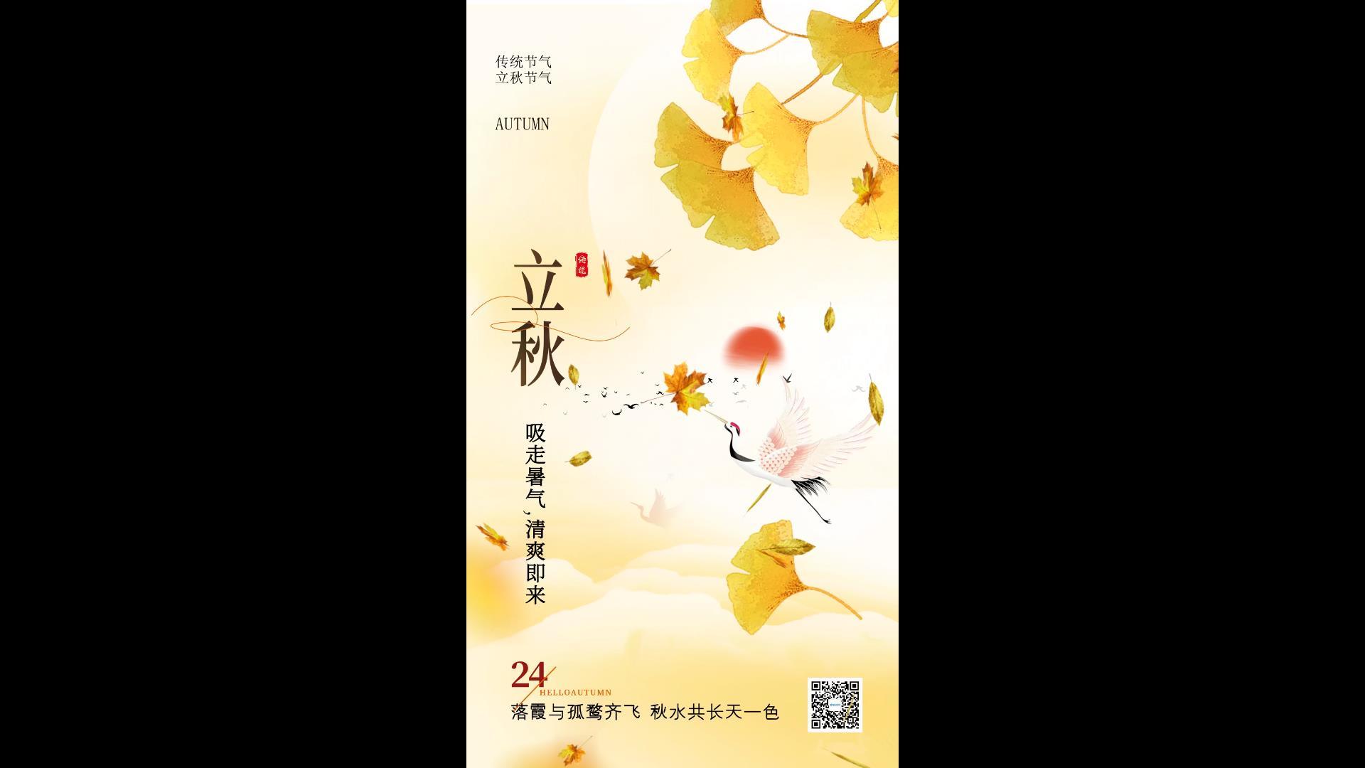 简洁美丽的立秋海报AE模板视频的预览图