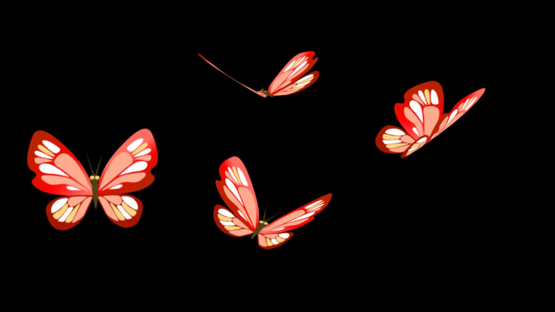 蝴蝶飞舞循环动画素材视频的预览图