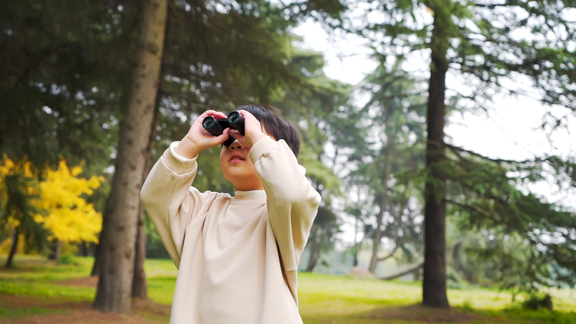 秋天公园使用望远镜观看的小男孩升格视频视频的预览图