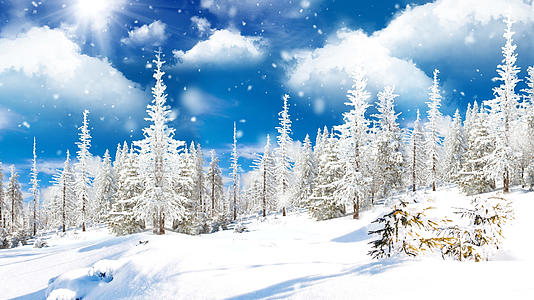 4K蓝天白云树林冬天雪景背景视频视频的预览图