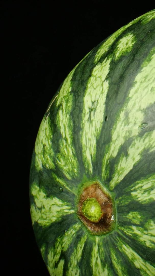 西瓜麒麟瓜新鲜水果切西瓜西瓜视频的预览图