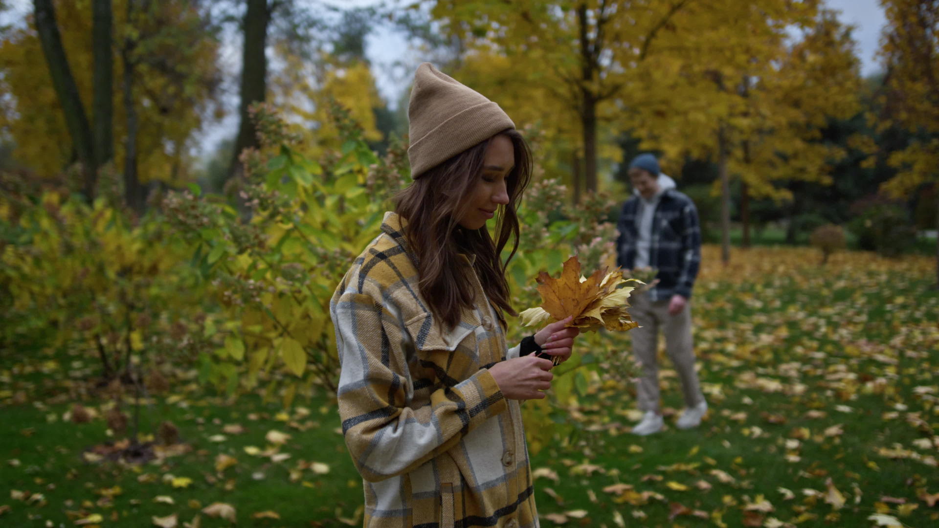 女生在森林里面捡枯黄的树叶视频的预览图