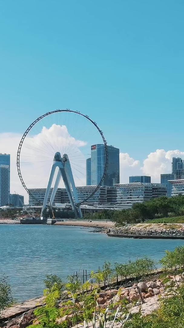 滨海城市公园快乐摩天轮视频的预览图
