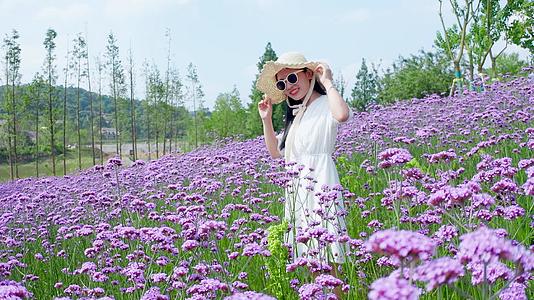 4k实拍美女在薰衣草花海耍酷视频的预览图