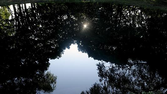 湖水中闪烁着的阳光视频的预览图