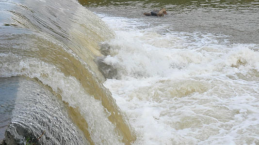 实拍4k河流洪水水花视频的预览图