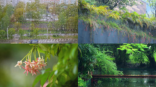 梅雨季节合集视频的预览图