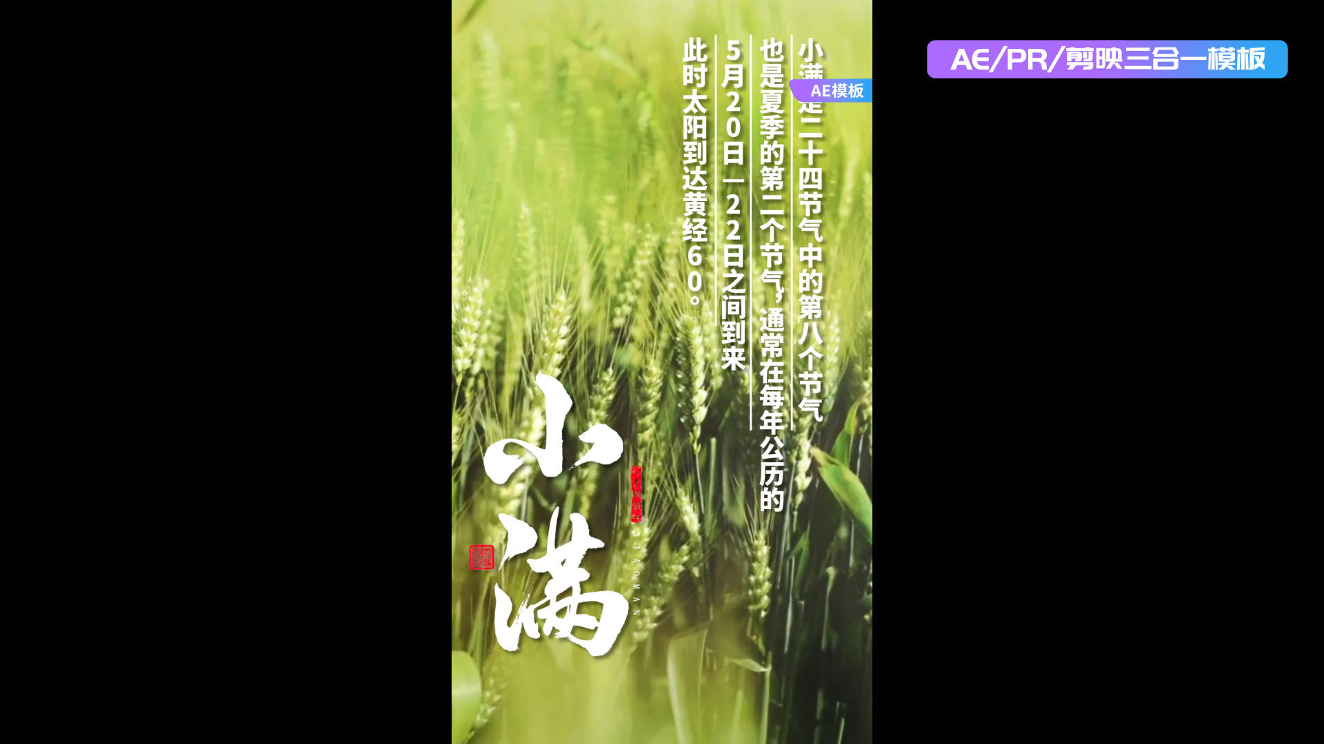 小满节气麦田aepr剪影三合一竖版海报视频的预览图
