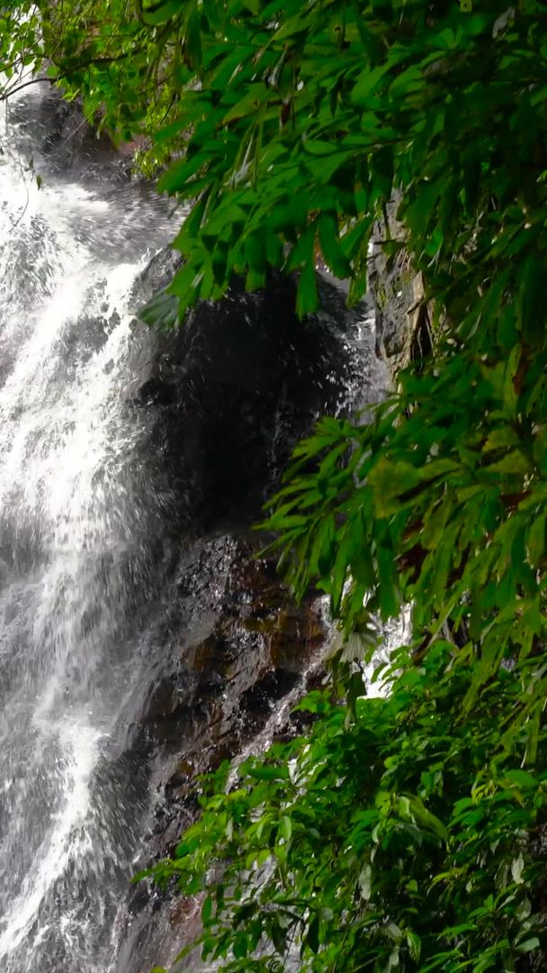 森林瀑布流水收集声音视频的预览图