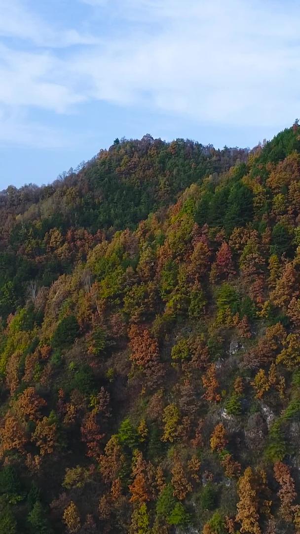 秋季山区航拍视频的预览图