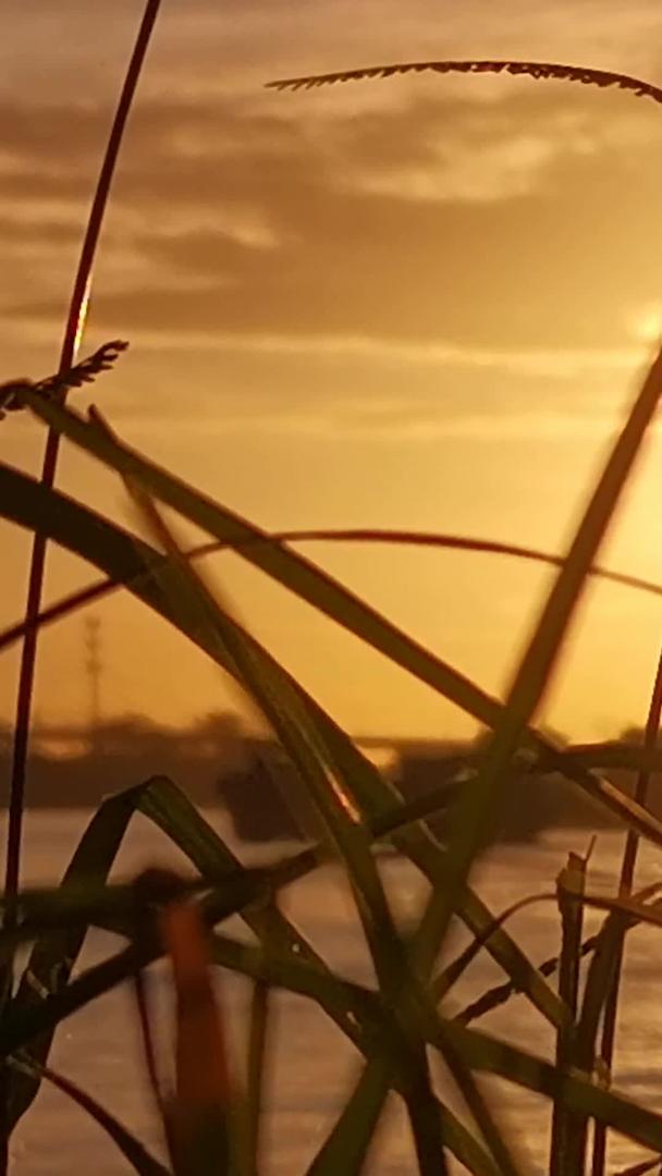 夕阳江边的美景实拍视频的预览图