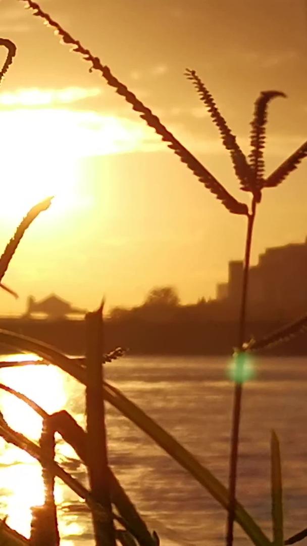 夕阳江边的美景实拍视频的预览图